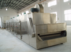 DWT网带式脱水蔬菜干燥机 DWT网带式脱水蔬菜干燥机